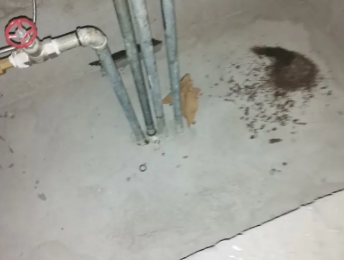 乌兰察布卫生间测漏水价格明细